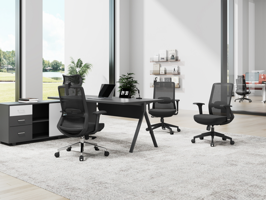 High-Back Ergonomic Executive Office Chair with 4D Armrests A803S