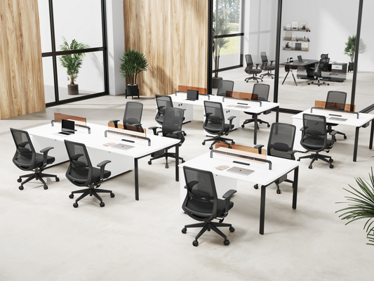 Mid-Back Ergonomic Task Chair with Adjustable Lumbar Support B803