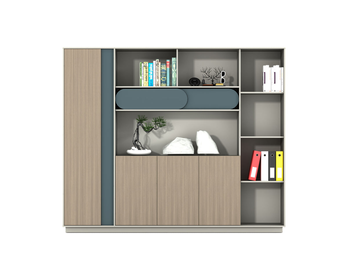 Qiancheng Office Storage Cabinet QC-S2401