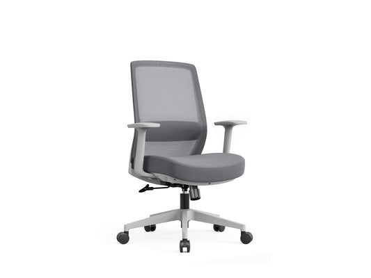 Mid-Back Ergonomic Office Chair with Adjustable Lumbar Support B803-2