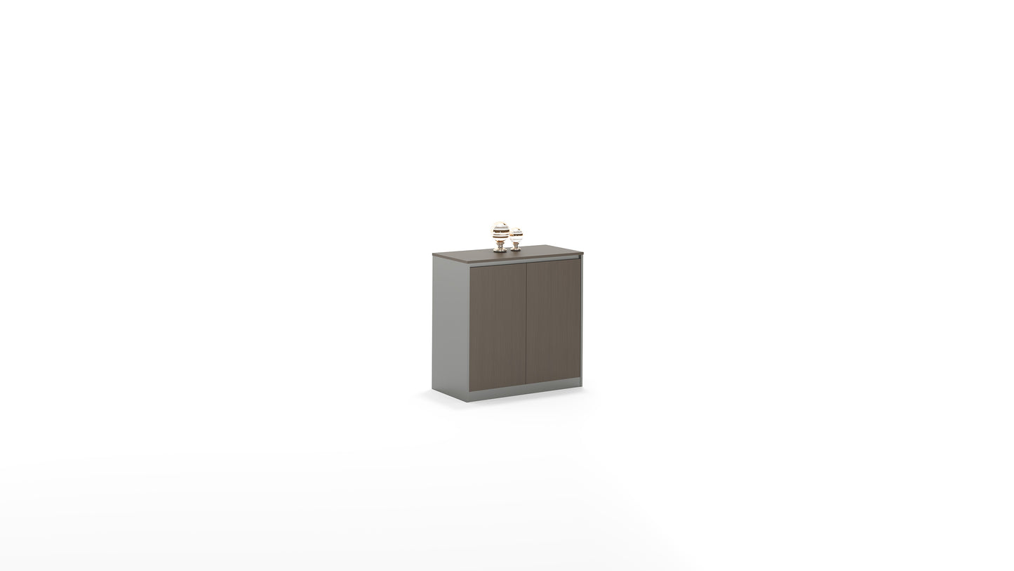 Office Storage Cabinet SR-S0
