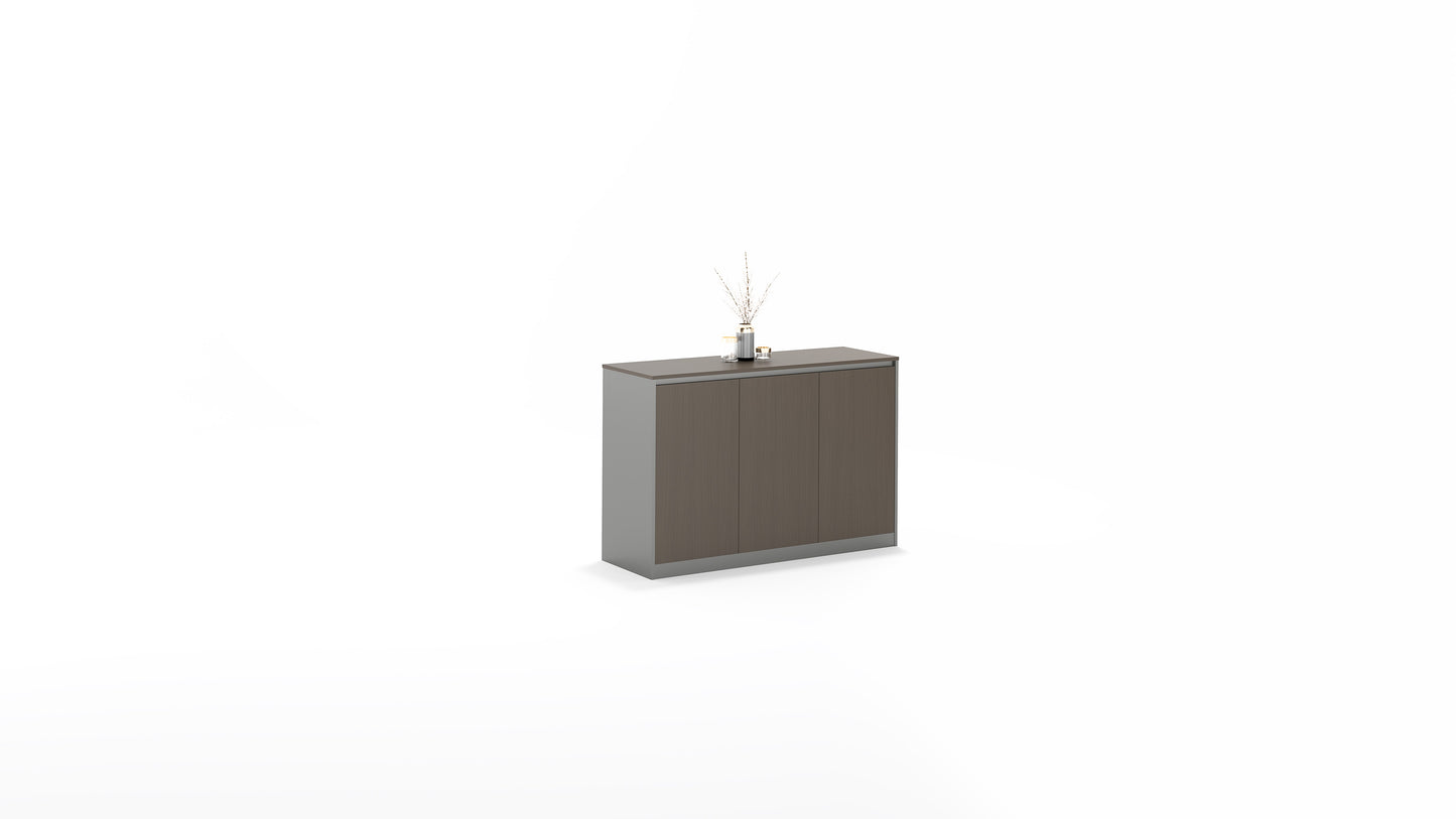 Office Storage Cabinet SR-S0